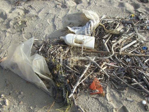 Plastikmüll und Treibholz liegen verstreut im Sand an einem Strand